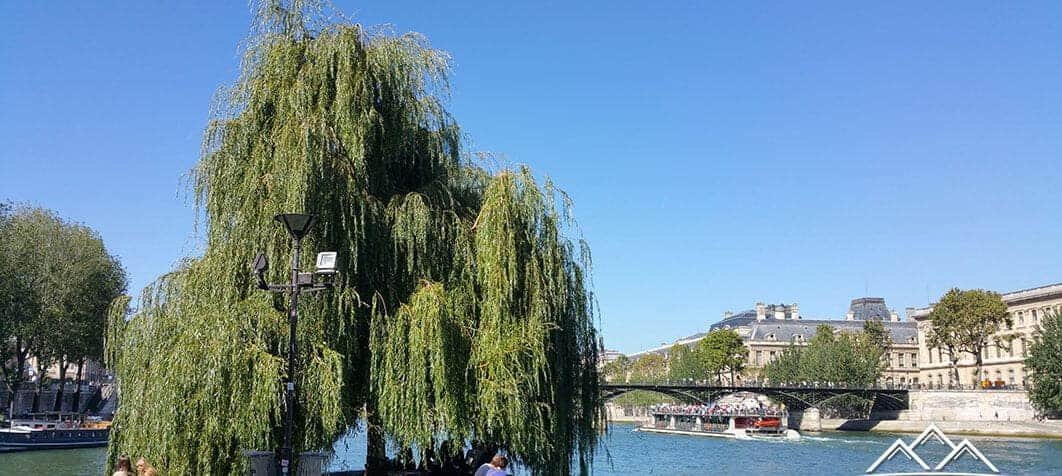 Île de la Cité