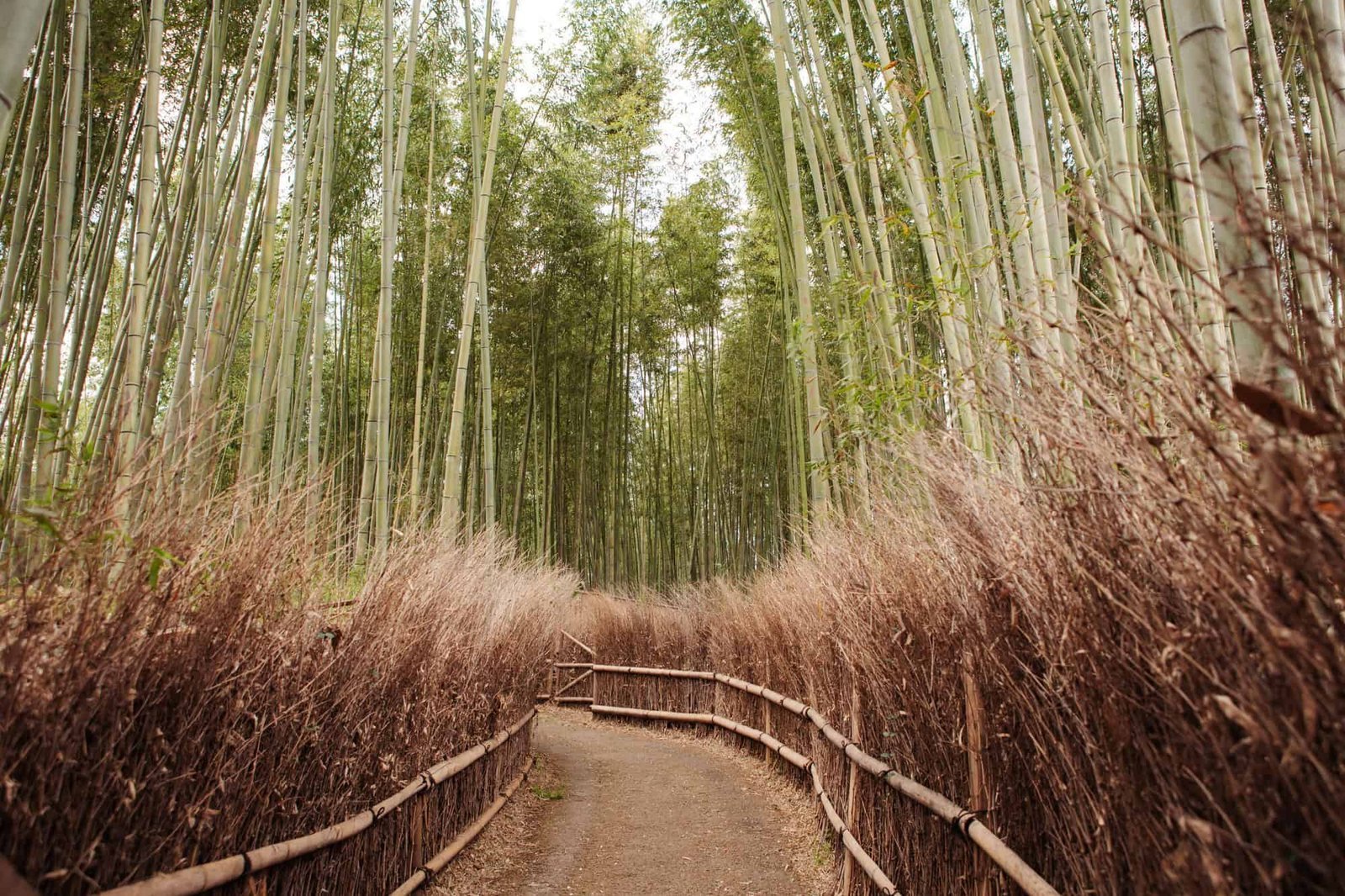20 Essential Tips for Ethical and Sustainable Travel