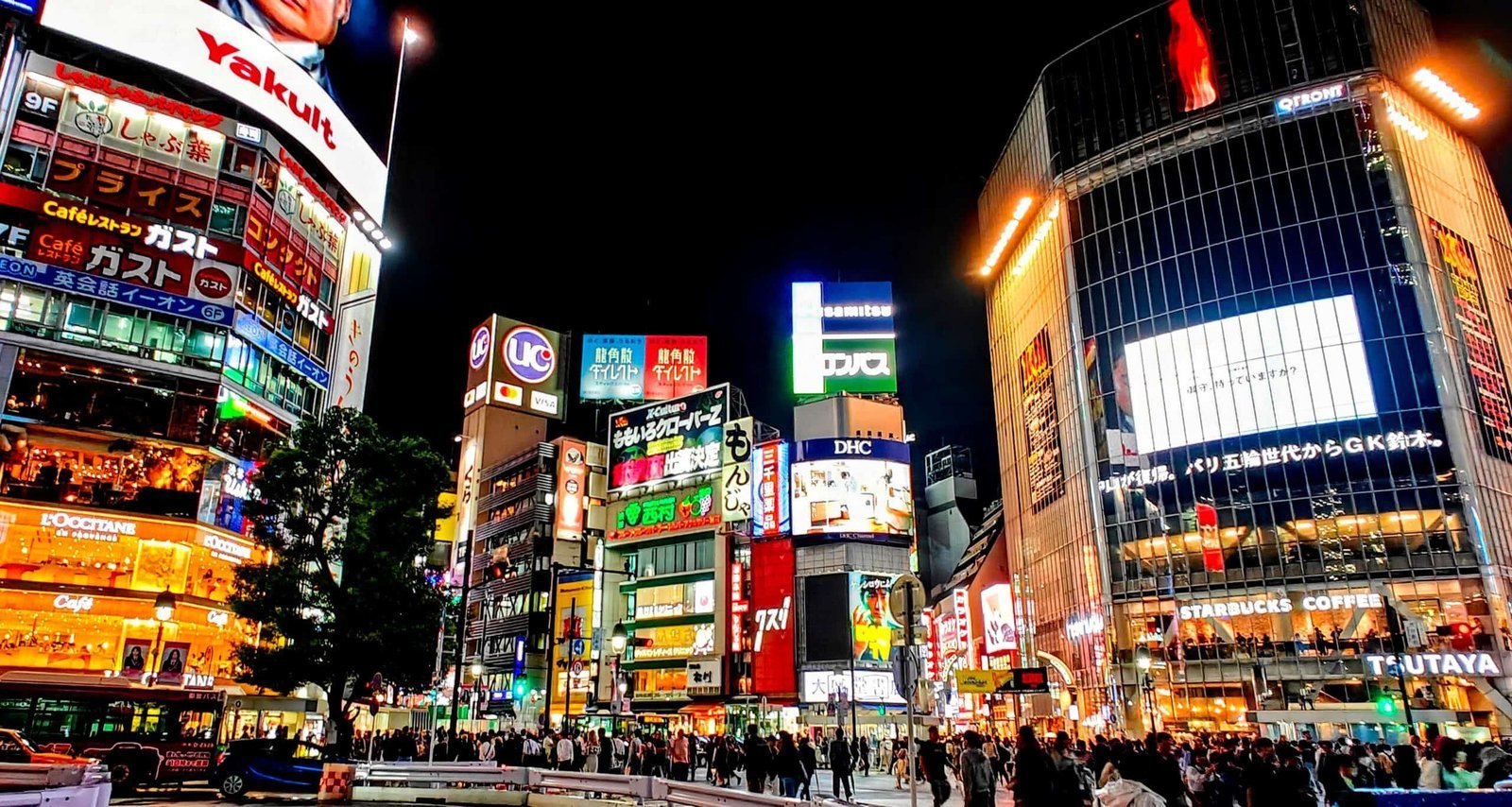 Discovering the Vibrant Charm of Shibuya