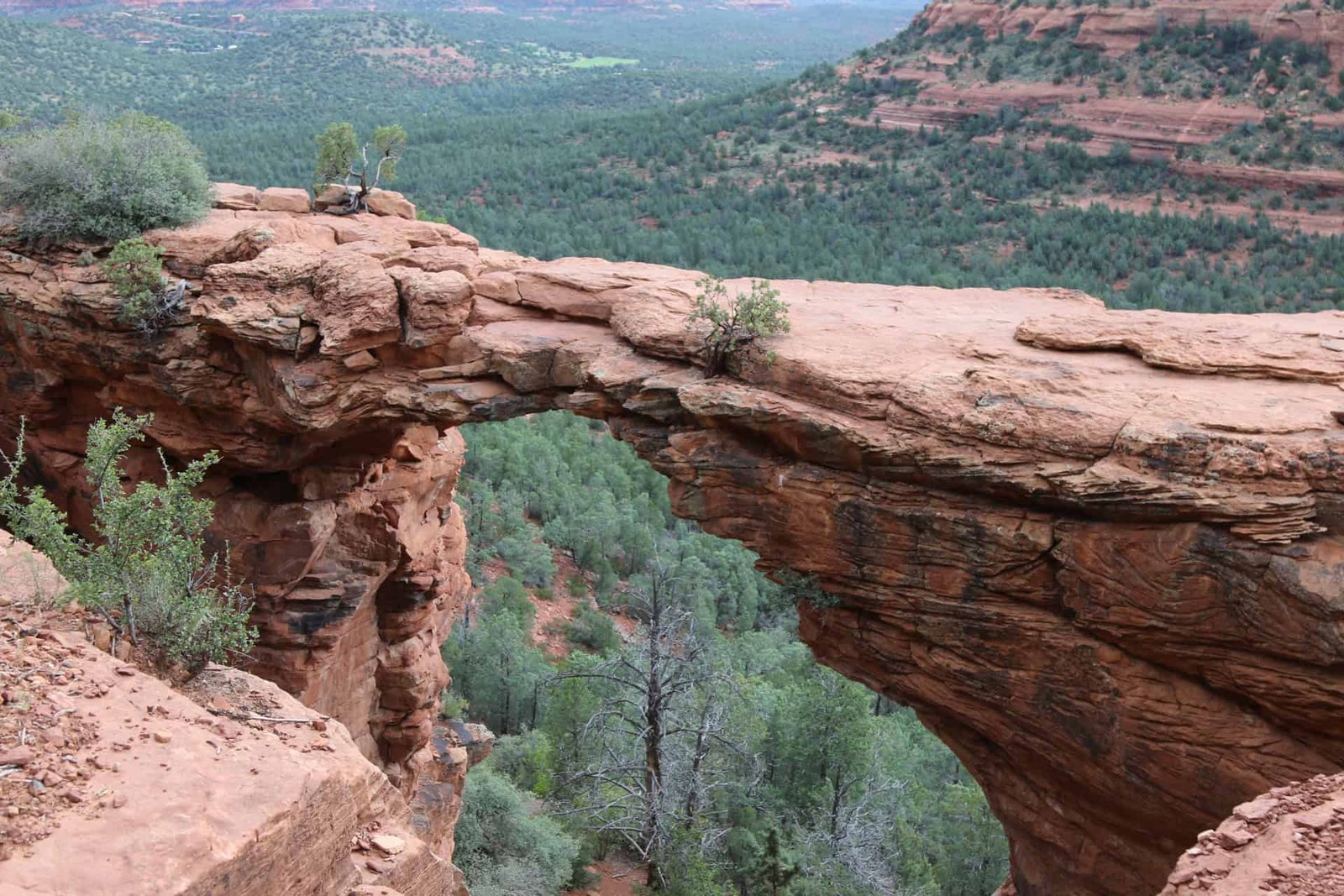 Devil's Bridge