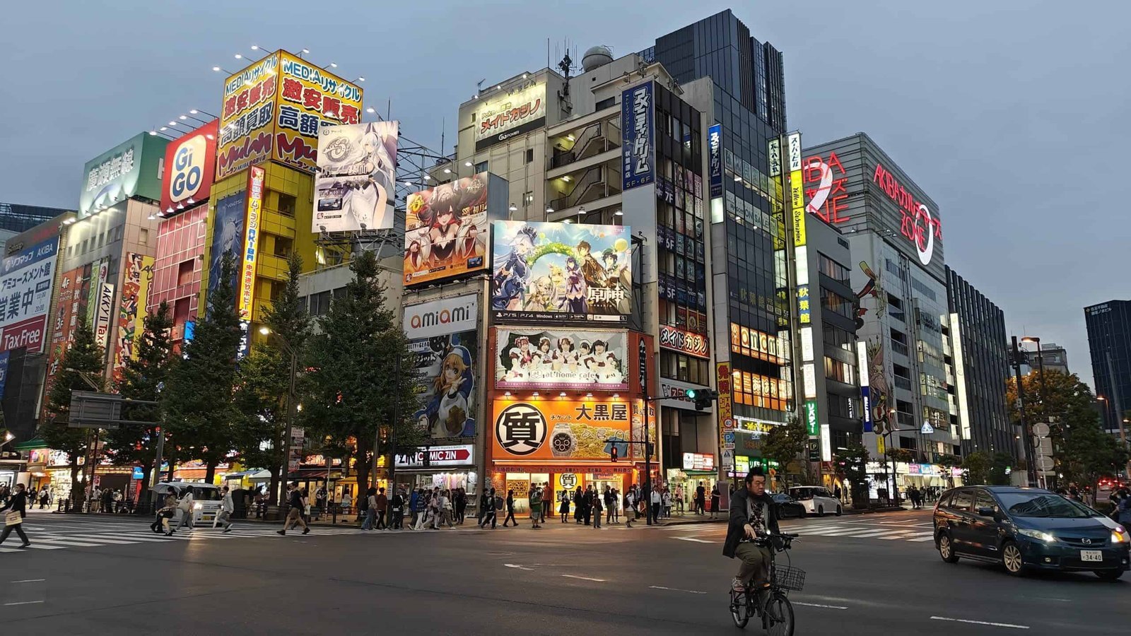 Akihabara: The Electric Wonderland of Tokyo