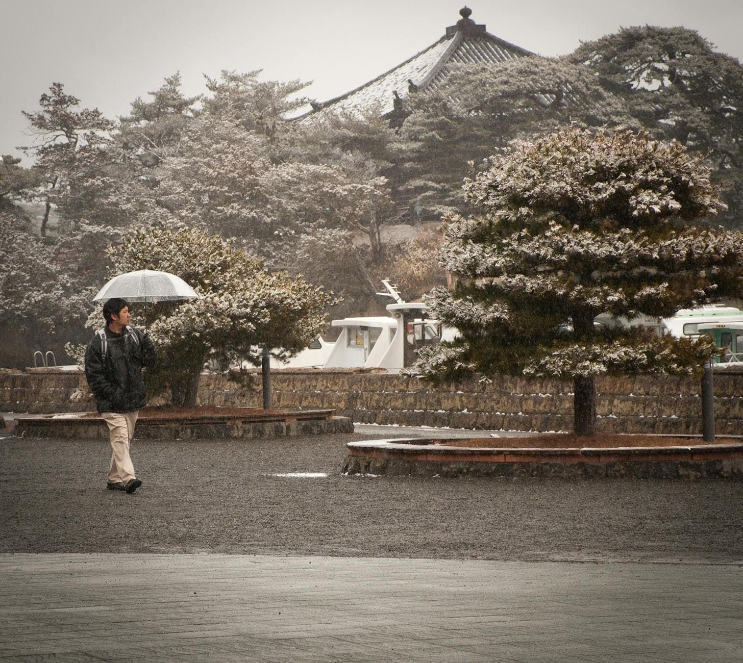 The Best Destinations for Japan Travel Solo Enthusiasts