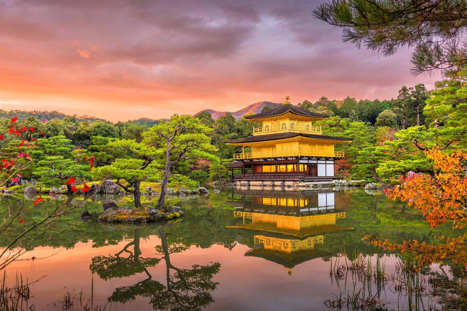 The Confidence That Comes from Navigating Japan Alone