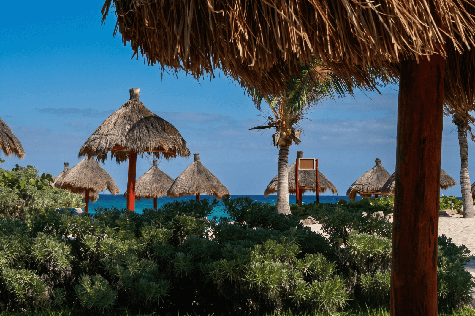 The Trips That Started It All: Mexico and the Caribbean