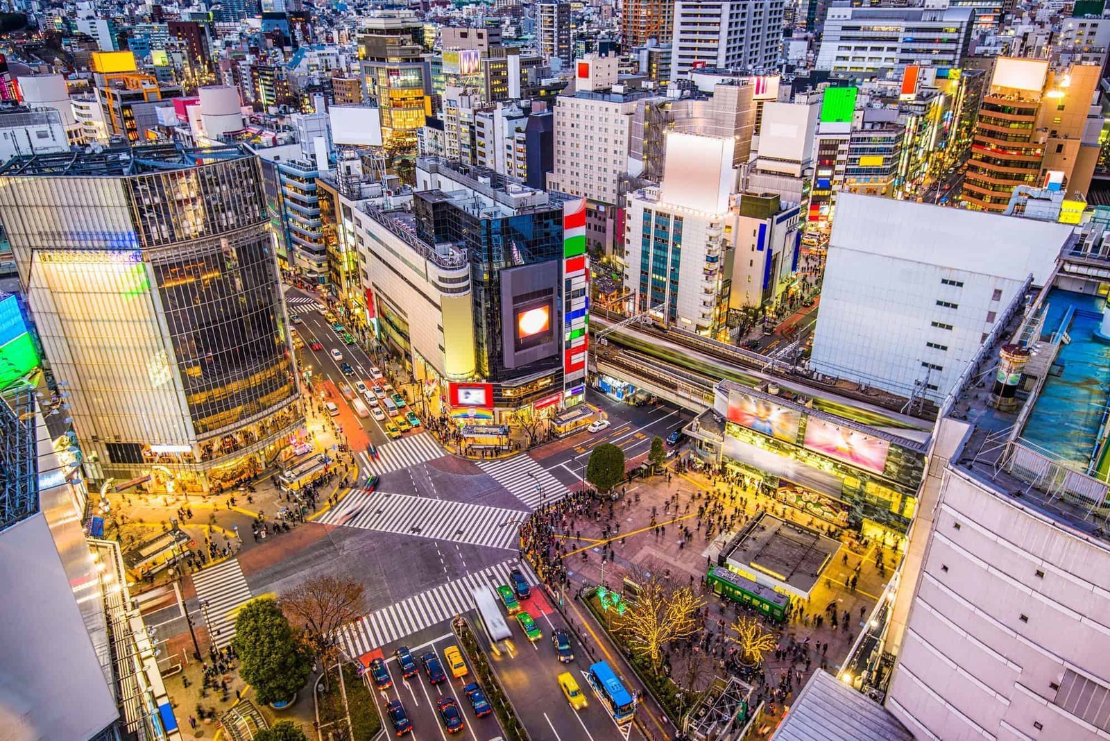 Shibuya: My Tokyo Love Affair