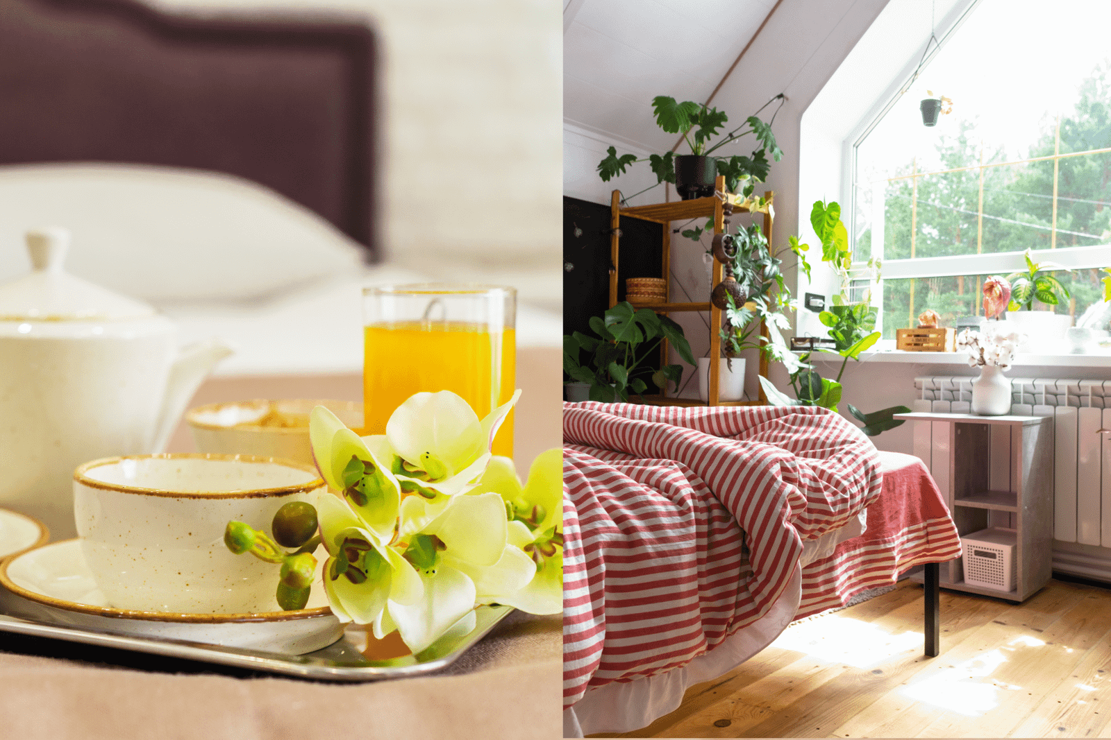 Why Hotels Beat Airbnb: A Research-Based Analysis